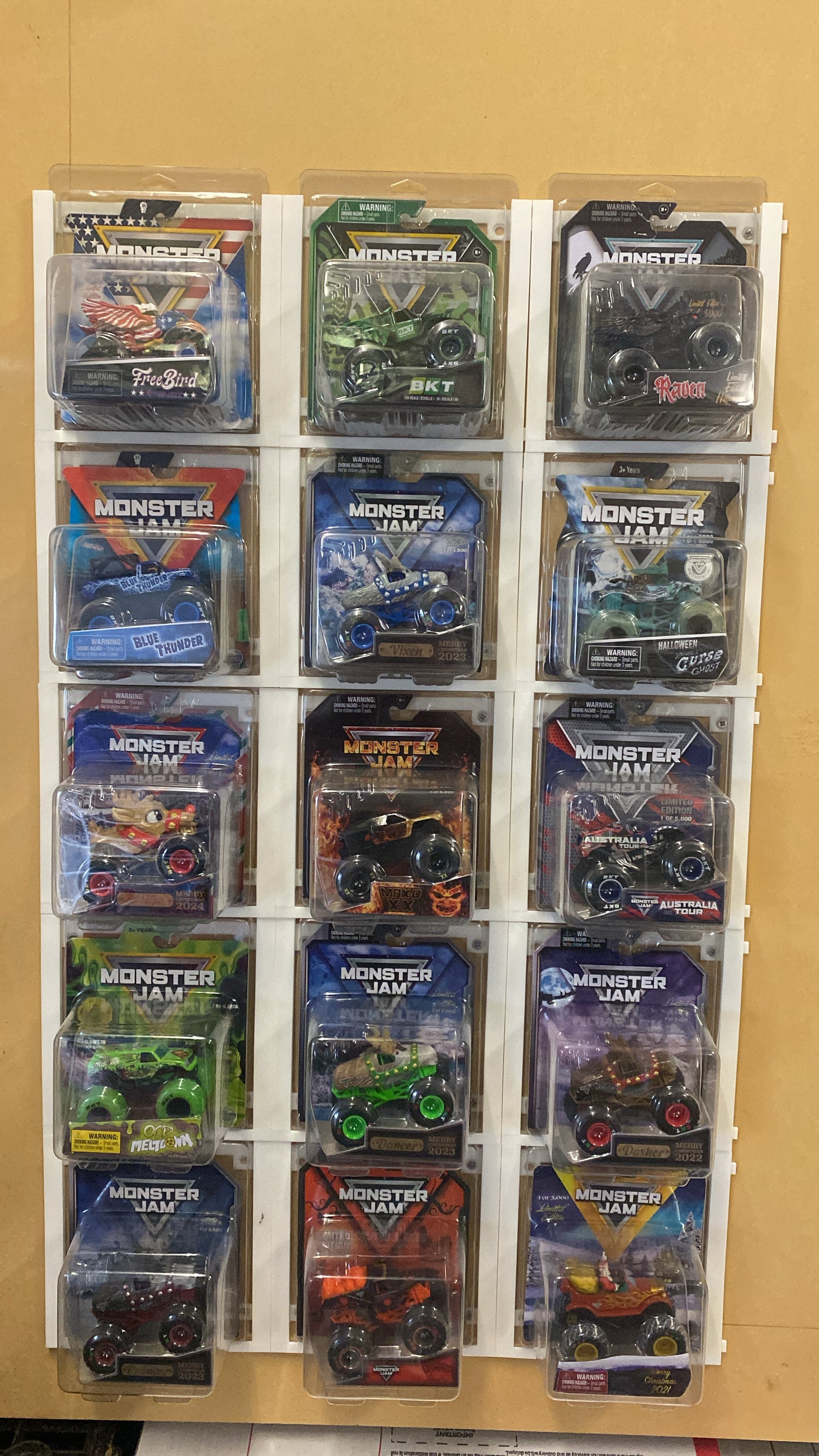 Protective case holder (Single)