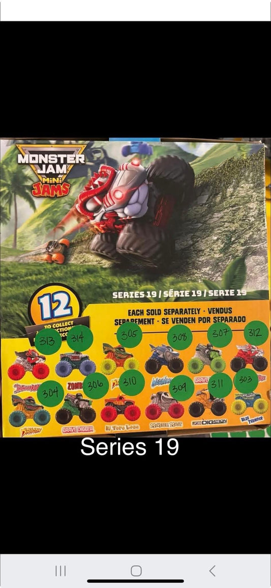 Series 19 Mini's